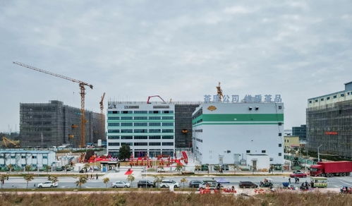 茶里集團(tuán)南沙總部落成，推動(dòng)高端袋泡茶標(biāo)準(zhǔn)化、工業(yè)化與科技化進(jìn)程